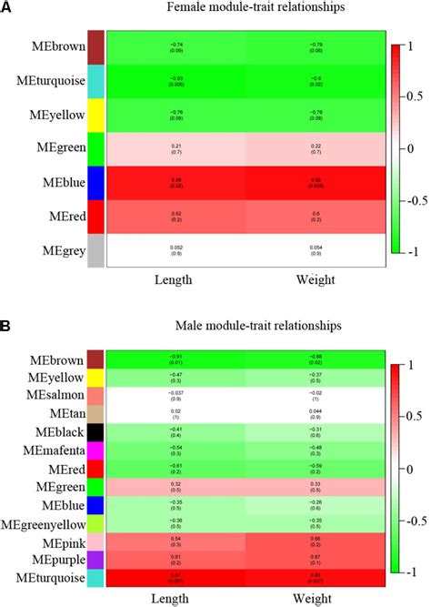 Frontiers Stat5b Regulates Sexually Dimorphic Gene Expression In