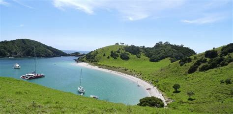 Paihia, New Zealand - Things to Do in Paihia | Switchback Travel