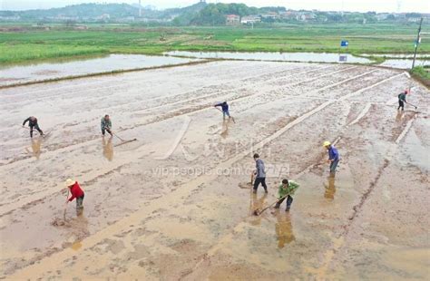 湖南衡阳：春光明媚农事忙 人民图片网