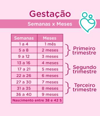 TABELA GESTACIONAL Novembro De 2020 BabyCenter