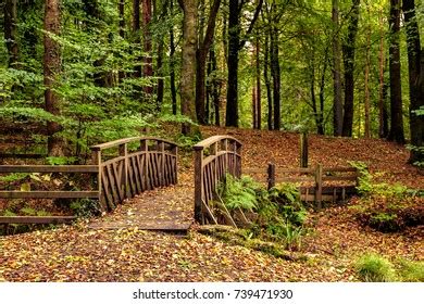 29 Portglenone Forest Images, Stock Photos & Vectors | Shutterstock