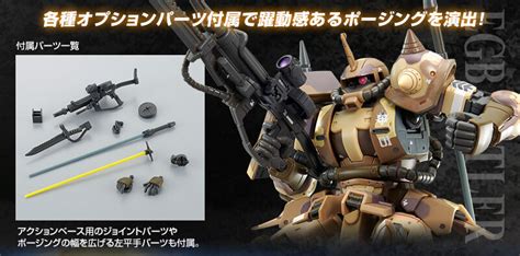 Hg High Mobility Type Ground Zaku Egba Custom Plastic Model