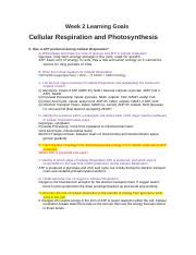 Lec Eas Pdf Lecture Glycolysis The Pentose Phosphate