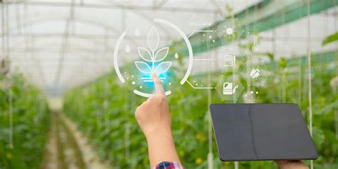 Agricultura De Precisi N E Inteligencia Artificial En Agroalimentaci N