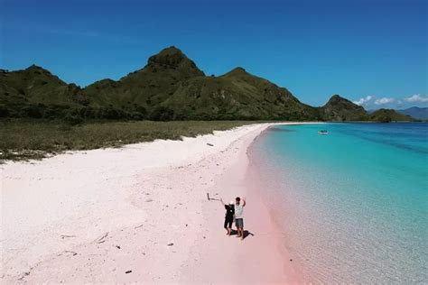 Pink Beach Pantai Menawan Berpasir Merah Muda Di Labuan Bajo Salah