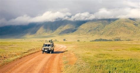 Serengeti Tage Tansania Private Luxus Safari Getyourguide