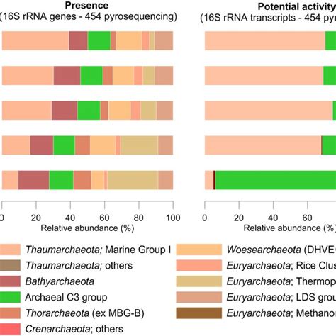 Relative Abundance Of Archaeal 16S RRNA Genes And Transcripts In