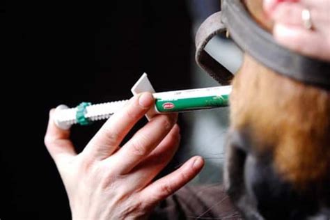 Update: Multi-Drug Resistant Equine Parasites Becoming More Prevalent ...