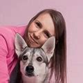 Vetdietolog — приложение для расчёта рационов собак и кошек