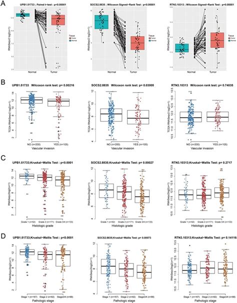 Development And Validation Of A Three Gene Prognostic Signature For