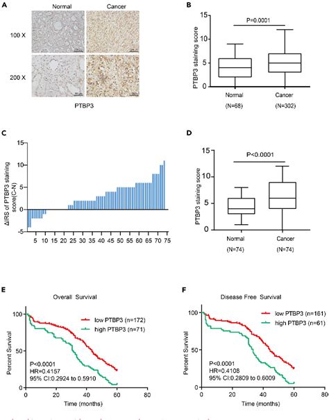 Figure From Polypyrimidine Tract Binding Protein Insulin Like