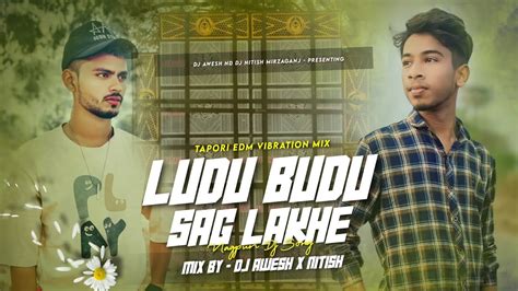 Ludu Budu Sag Lakhe Tapori Edm Vibration Mix