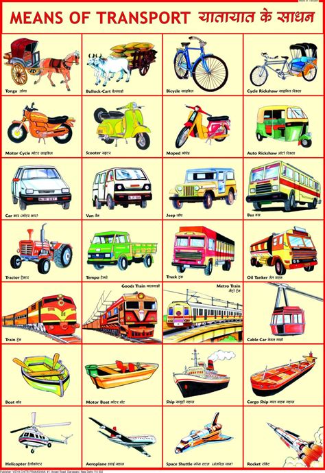 Means Of Transport Chart