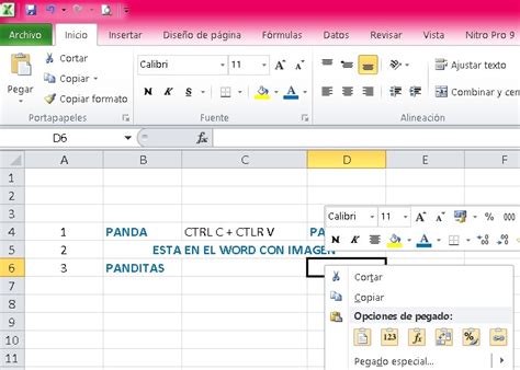 Copiar Y Pegar En Excel Gu A Paso A Paso Hot Sex Picture