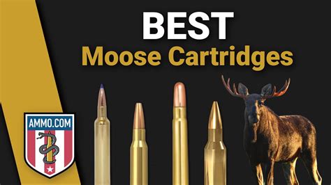 Best Moose Hunting Cartridges Bring Down Bullwinkle YouTube