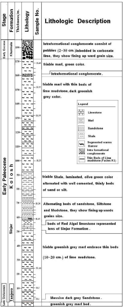 Lithological Description Of Kolosh Formation In Bekhme Section