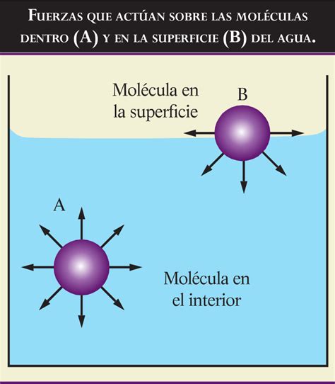 Factores Que Afectan La Solubilidad Pdf Solubilidad Solvente Mobile 33835 Hot Sex Picture