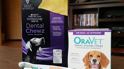 Dog Dental Care Products Uk at Kirk Luckett blog