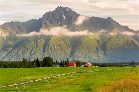 5 Things to Do in Palmer, AK | Travel Alaska