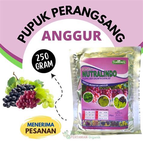 Jual Pupuk Booster Organik Pelebat Anggur Generatif Nutrisi Pemicu