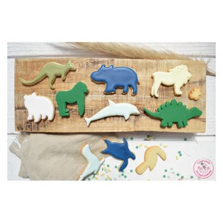 Plaque D Coupoir Pour Biscuits Animaux Scrapcooking F Erie Cake