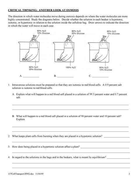 Diffusion And Osmosis Practice Sc Studocu