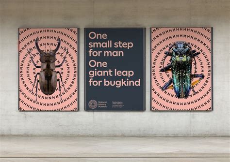 The New Identity for London’s 150-Year-Old Natural History Museum Conjures a Shared Future ...