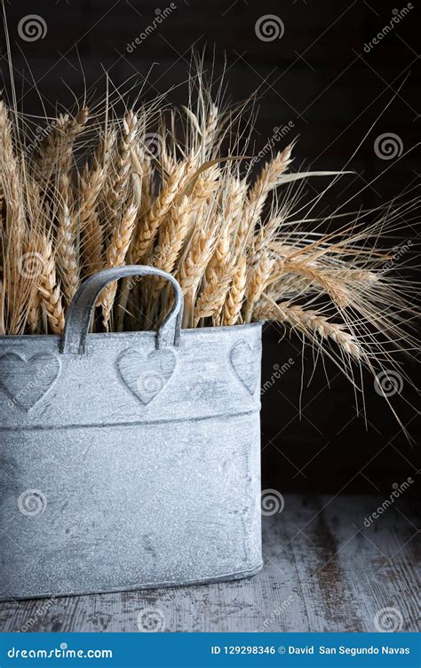 Trigo En Un Envase De La Lata En La Madera Envejecida Foto De Archivo