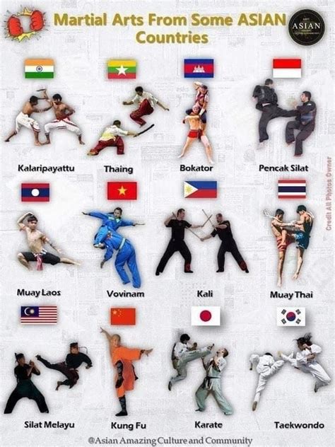 Various Martial Arts From Asian Countries Rcoolguides