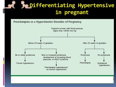 Ppt Hypertension In Pregnancy Powerpoint Presentation Free Download