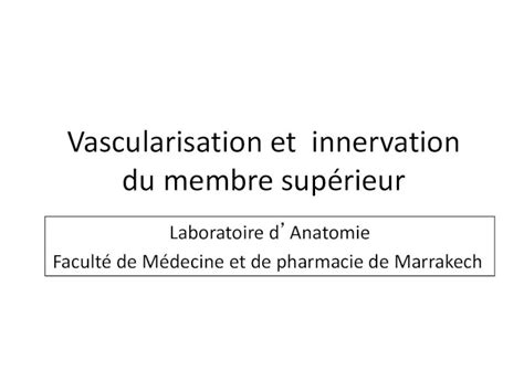 PDF Vascularisation et innervation du membre supérieuranatomie fmpm