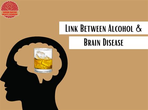 The Link Between Alcohol And Dementia Way To Reduce Risk