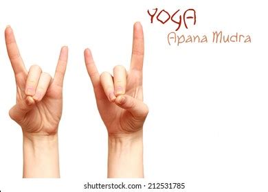 35 526 Apana Mudra Images, Stock Photos, 3D objects, & Vectors ...