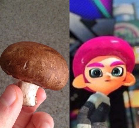 Nine Out 10 People Cant Tell The Difference Octo Expansion Afro