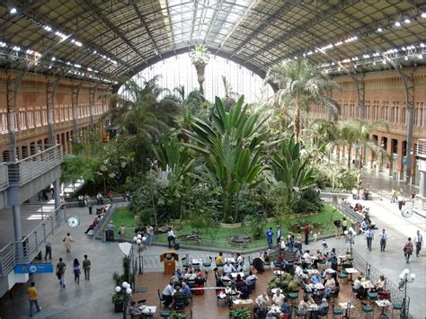 Jardin Interior De La Estacion De Atocha Madrid Jardines Sin Fronteras