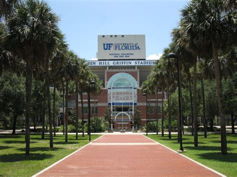 University Florida Best Online Colleges Sociology Bachelors Great