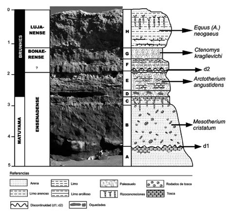 Perfil geológico y magnetoestratigráfico de la baliza de Punta