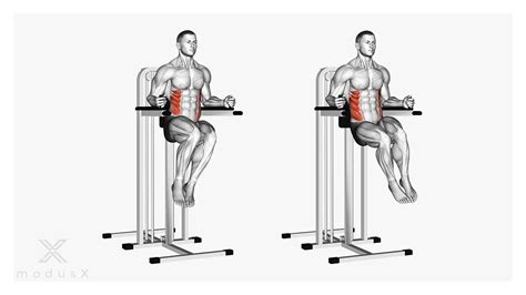 Bauchübungen für ein effektives Bauchmuskeltraining modusX