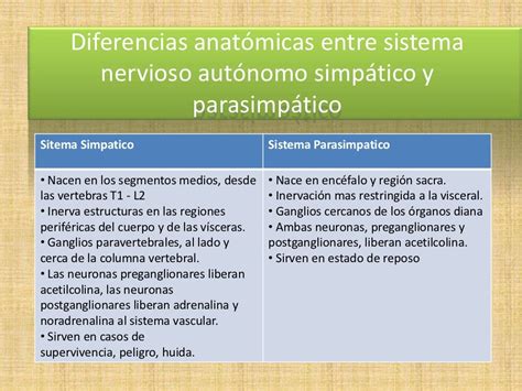 Diferencias entre sistema nervioso simpático y parasimpático