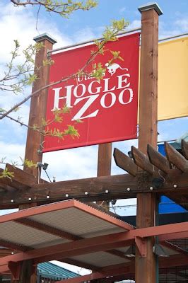 all things simple: hogle zoo