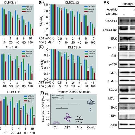 The Bcl‐2 Inhibitor Abt‐199 Synergistically Interacts With The Vegfr‐2 Download Scientific