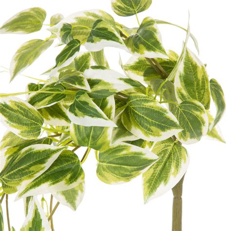 Variegated Leaf Bush Hobby Lobby 1220201