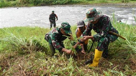 Mitigasi Dan Cegah Bencana Banjir Kodim Hst Tanam Ratusan Pohon Di