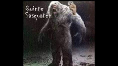 New Reality Tv Series Exploring Sasquatch Sightings In Ontario