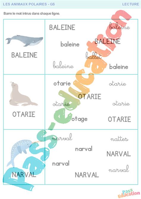 Animaux Polaires Lecture Gs Maternelle Pdf Imprimer