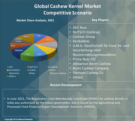 Cashew Kernel Market Size Share Growth Forecast To