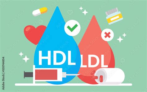 Types Of Cholesterol Comparison With Hdl And Ldl Good Hdl And Bad