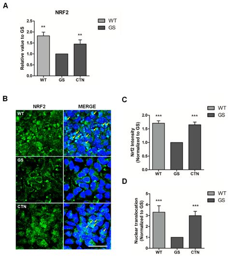 Molecules Free Full Text Neuroprotective Effects Of