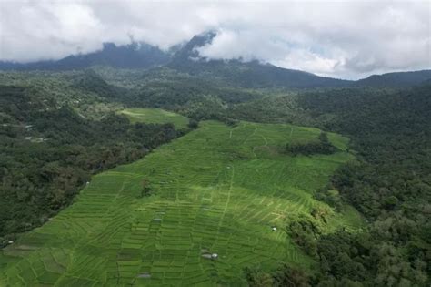 Wow Luar Biasa Desa Wisata Golo Loni Raih Prestasi 15 Besar Desa Wisata