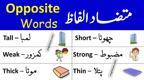 Opposite Words List With Urdu Meanings Antonyms Opp Almuhja